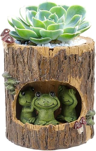 Miniatura 7 de Segreto Macetas creativas con agujeros de drenaje, jarrón de resina para decoración del hogar para suculentas, flores, cactus, decoración de