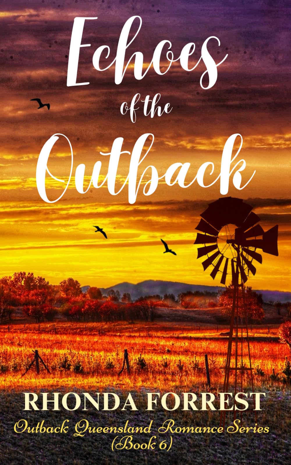 Echoes of the Outback: Outback Queensland Romance Series - Book 6
