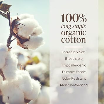 Bare Home 100% Organic Cotton Percale Sheet Set (Twin, White)