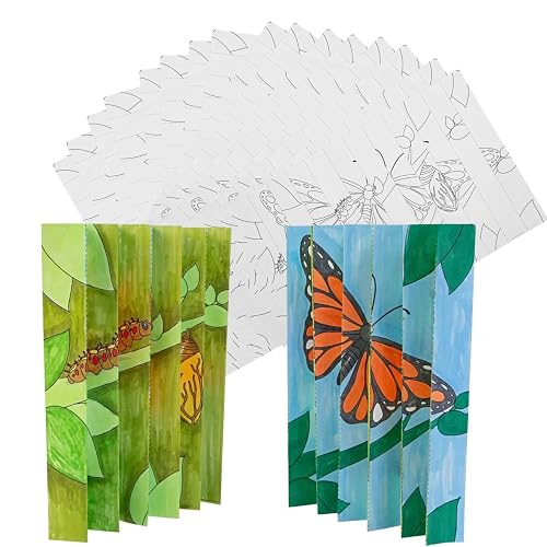 17" x 11" Color Your Own Caterpillar & Butterfly Image