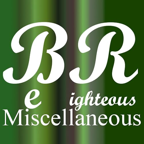 Biz Miscellaneous fixed