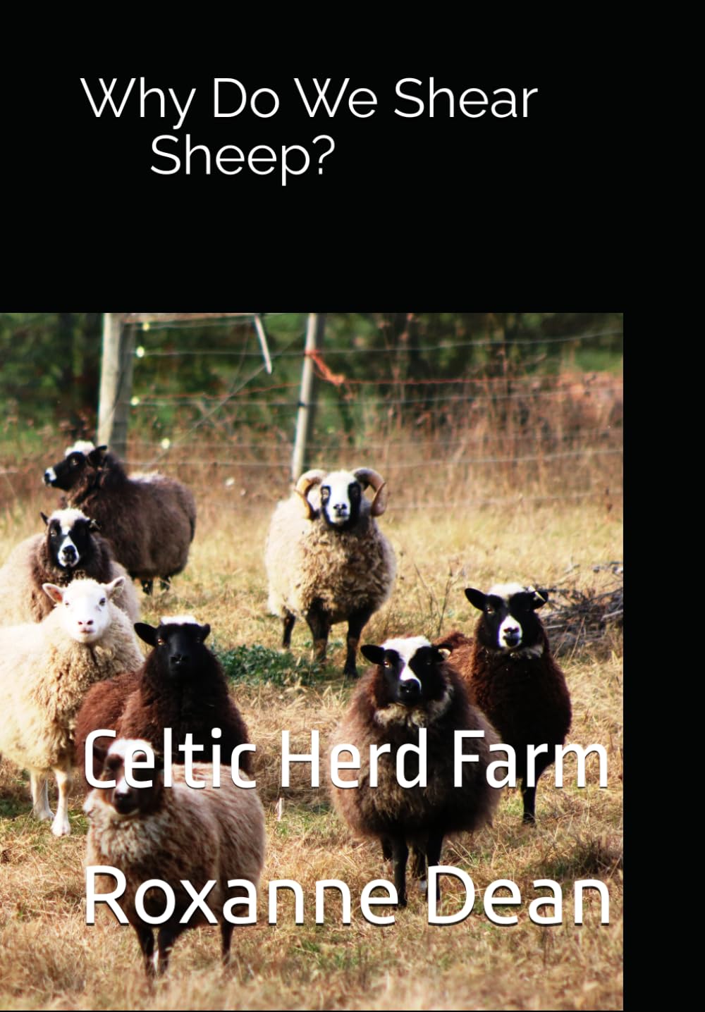 Why Do We Shear Sheep?: Celtic Herd Farm