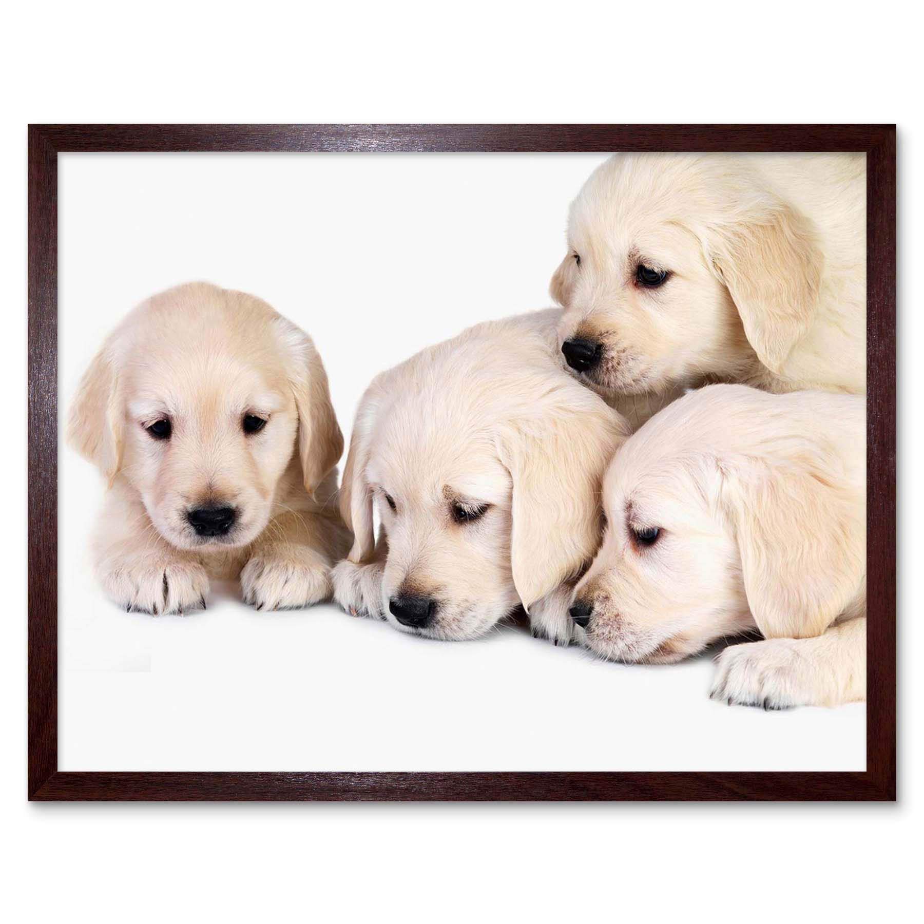 Wee Blue Coo Puppys Baby Golden Retriever Dogs Pets Art Print Framed Poster Wall Decor 12X16 Inch