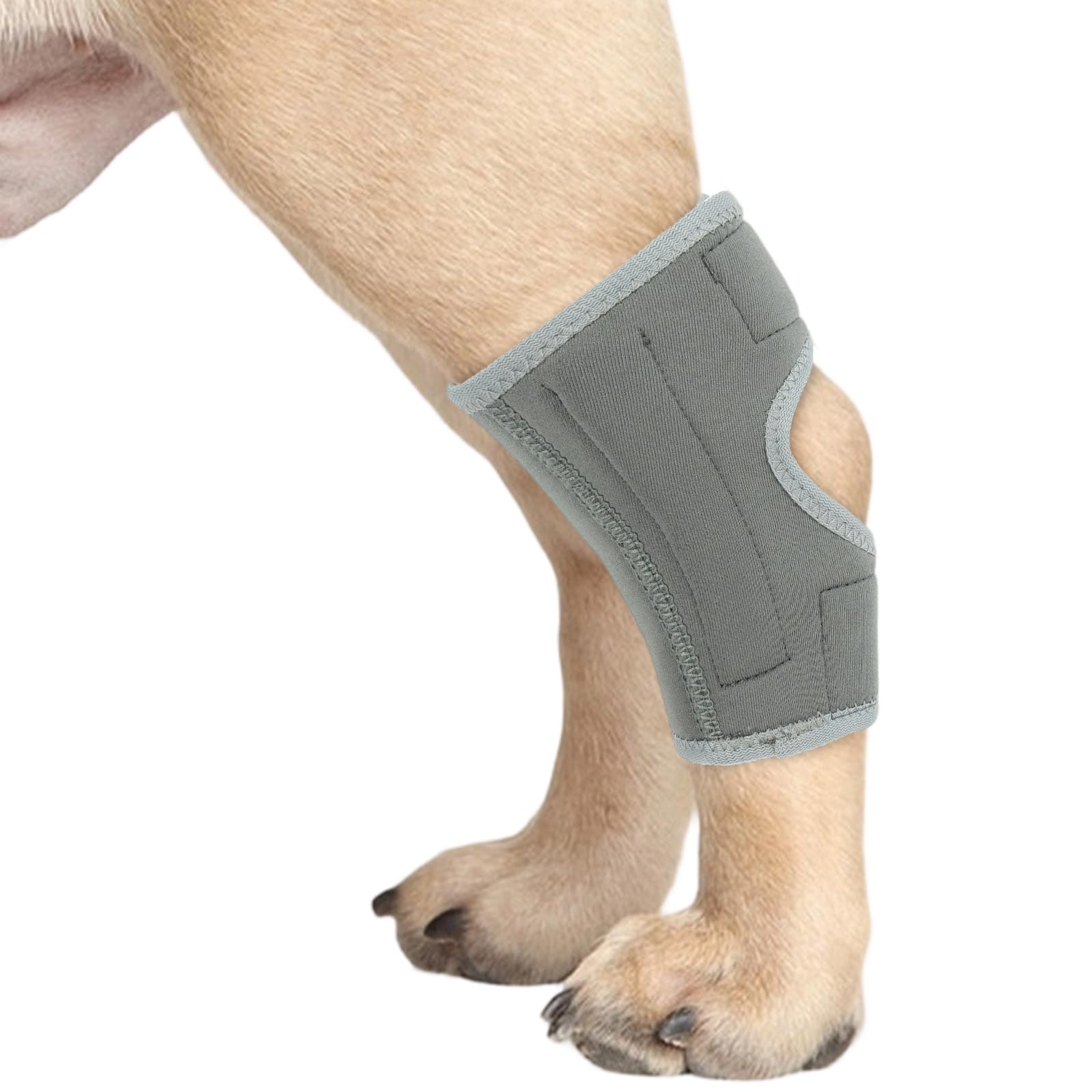 PUMYPOREITY 1Pcs Dog Leg Braces, Hock Joint Brace with Two Support Strips, Dog Hock Splint for Fractures, Wound Healing, Sprains and Canine Arthritis Support Leg Wrist Carpal(Grey, XL)