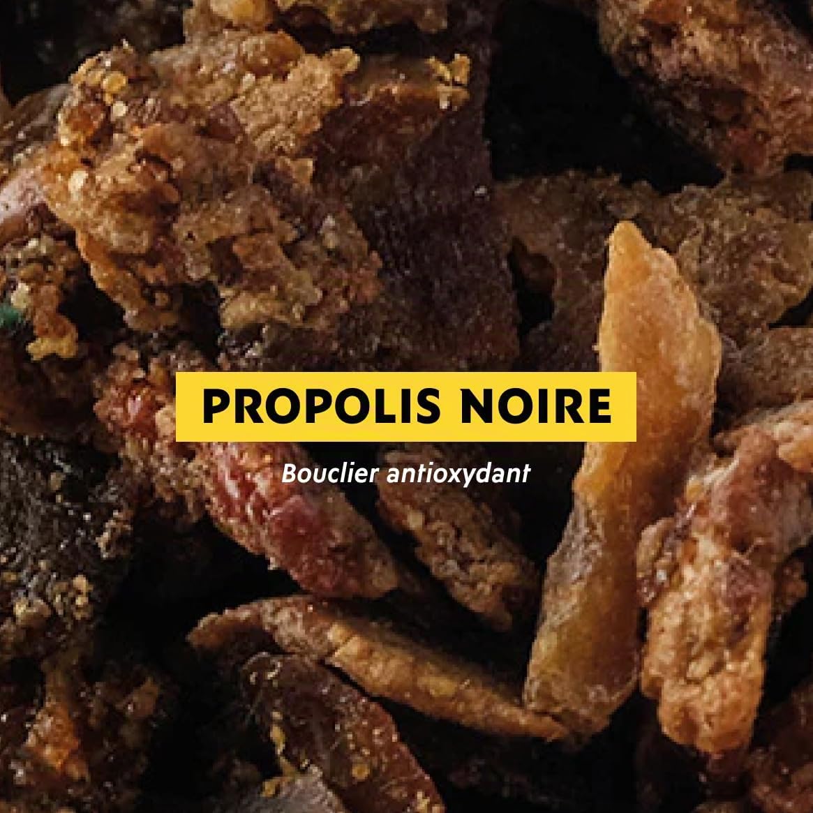 Alvadiem | Soin Ongles Force et Croissance Ongles Mous, Fragiles, Rongés | Fortifie, Protège et Accélère la Repousse | Propolis Noire, Lupin Blanc, Huile de Baobab Bio | Fabriqué en France | 10 ml
