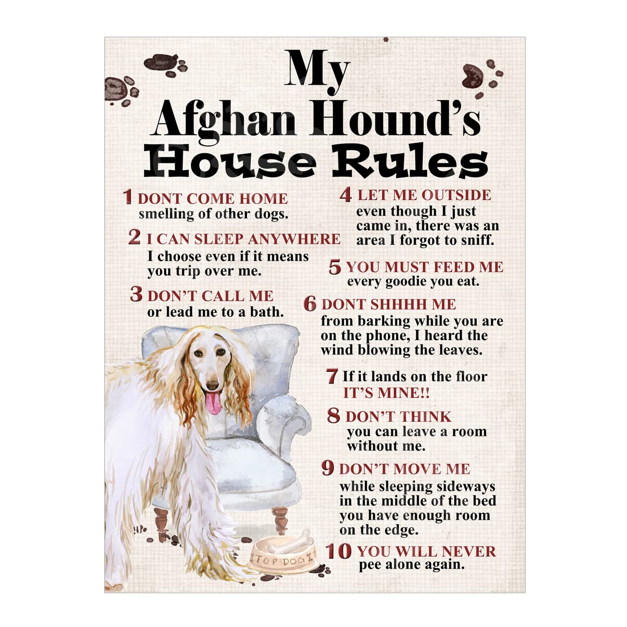 Metal Sign Plaque Dog House Rules My Afghan Hound's Pet Home Bar Man Cave Garden Shed Garage Pub Decor Shed Garage size 10x8in ref8286