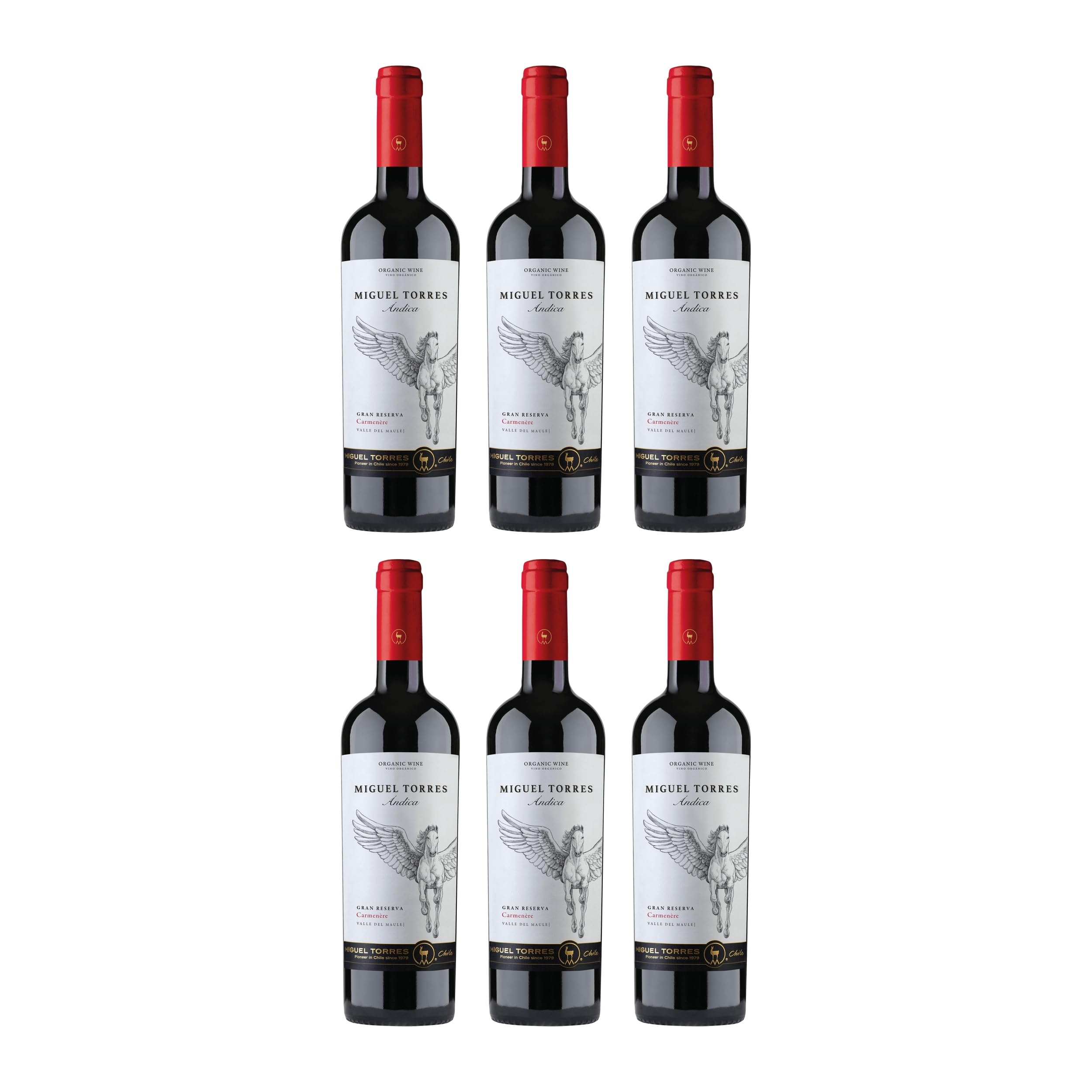 Miguel Torres BIO Chile Andica Carmenere Torres trocken Rotwein Spanien inkl. FeinWert E-Book (6 x 0.75 l)