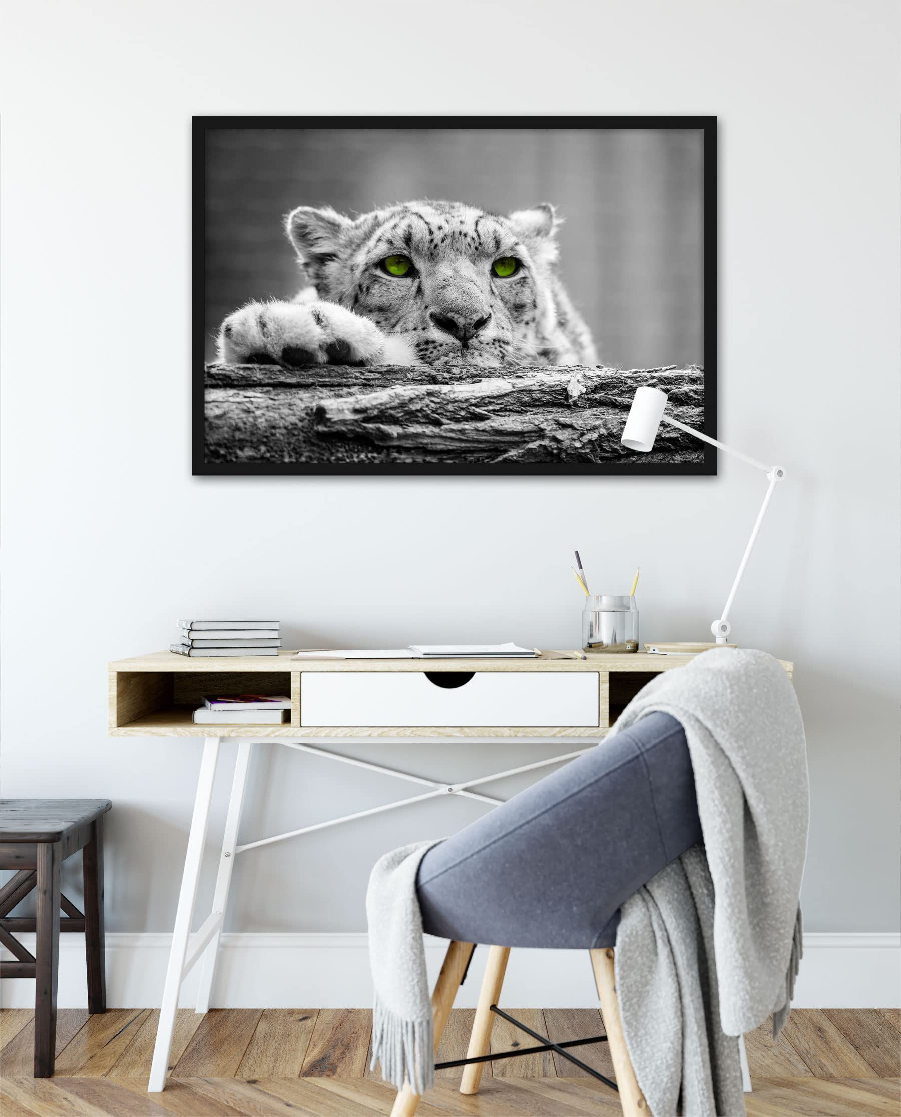 Bellissimo ghepardo con occhi verdi, poster in cornice, formato: 100 x 70 cm, stampa artistica incorniciata