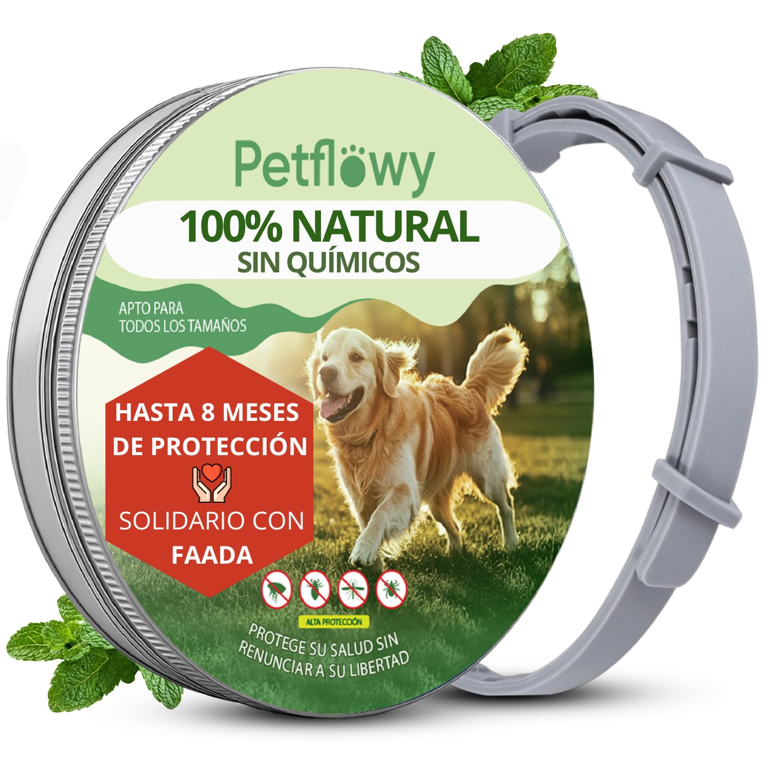 Petflowy - Collar Antiparasitario Natural para Perros. Protege 8 Meses contra Pulgas y Garrapatas Sin Químicos Tóxicos, Apto para Perros Grandes, Medianos y Pequeños Impermeable