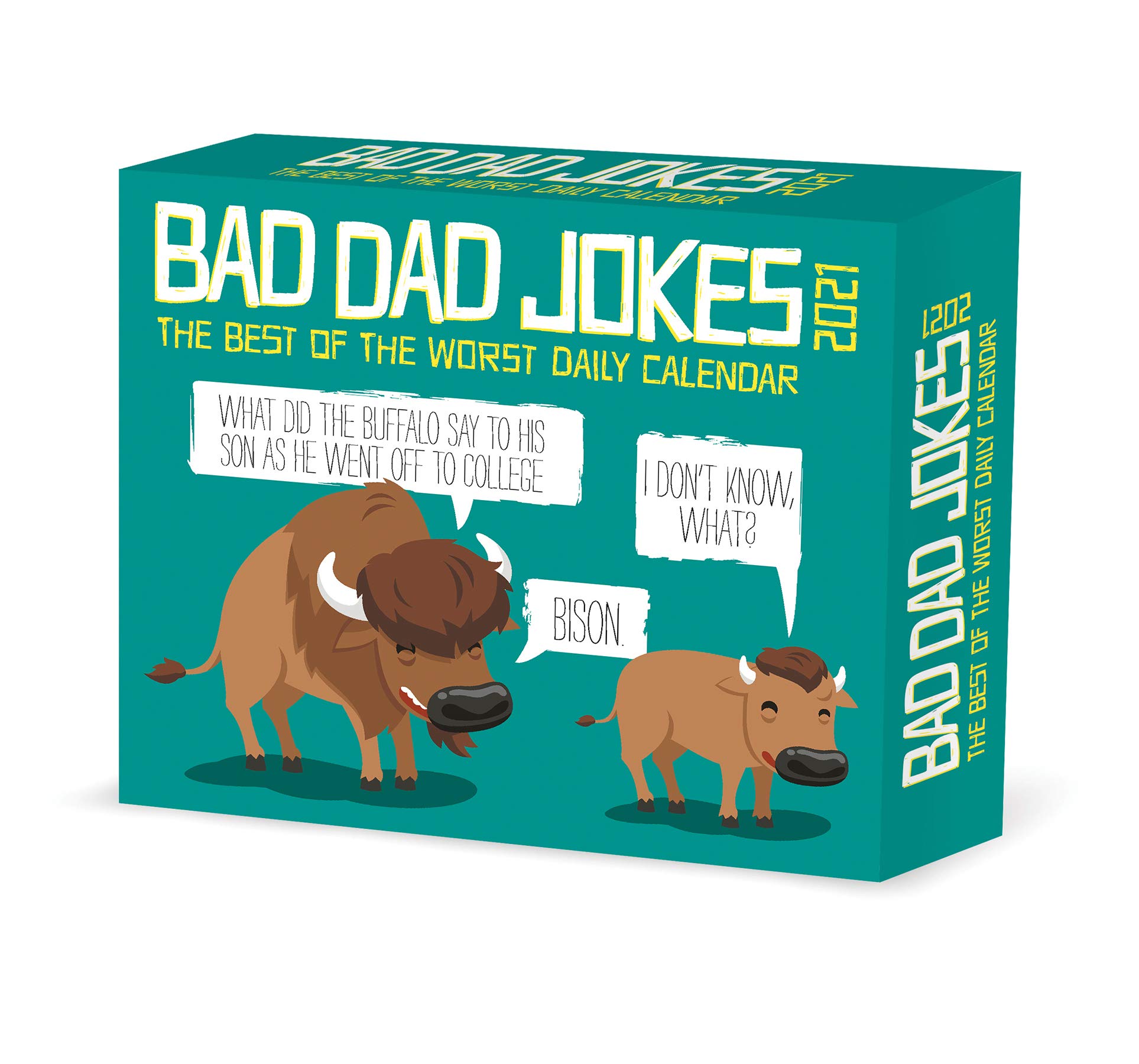 Bad Dad Jokes Box Calendar By Willow Creek Press Calendar Hot Sex Picture