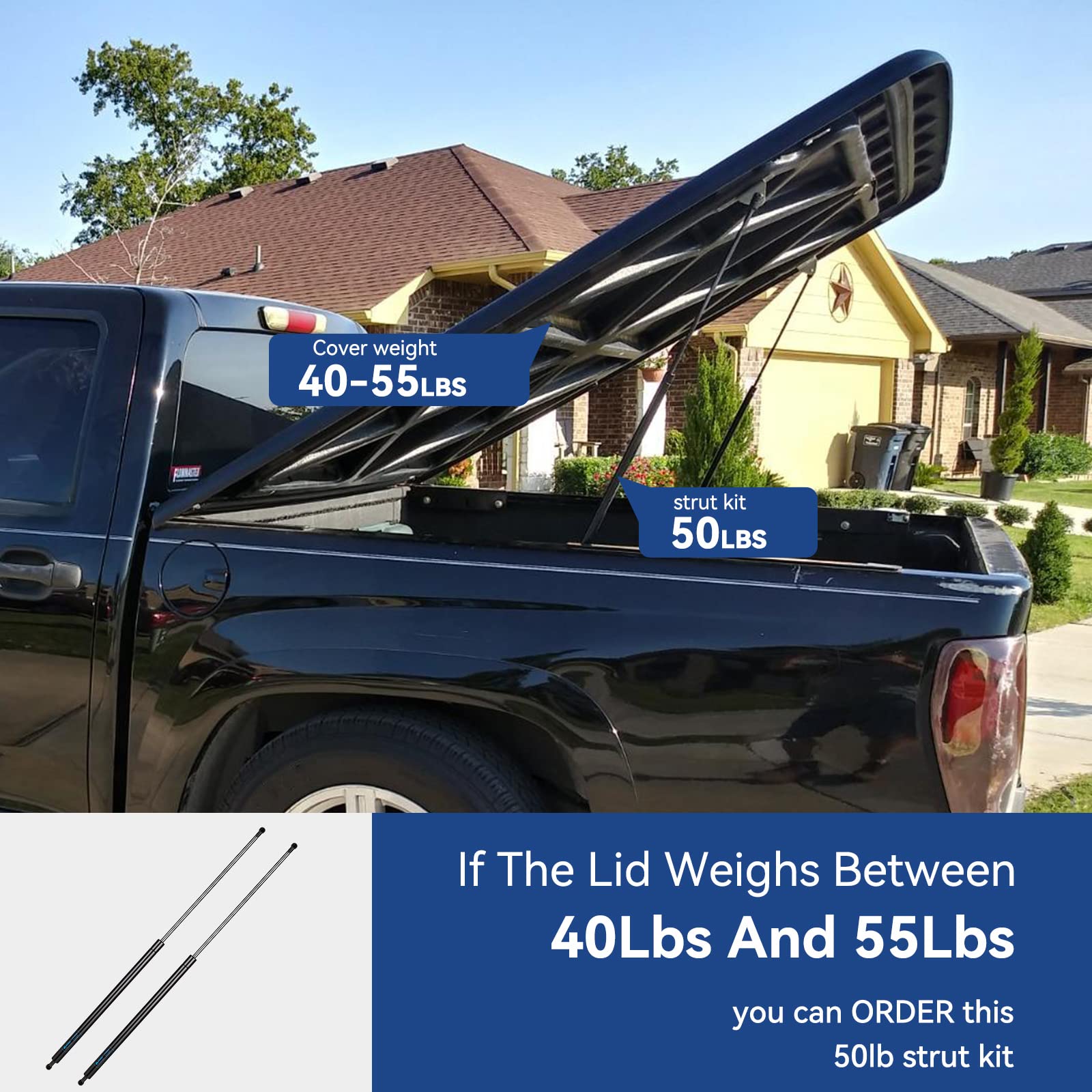 Amazon.com: ARANA C1617397 Gas Strut 30 inch, 30.9