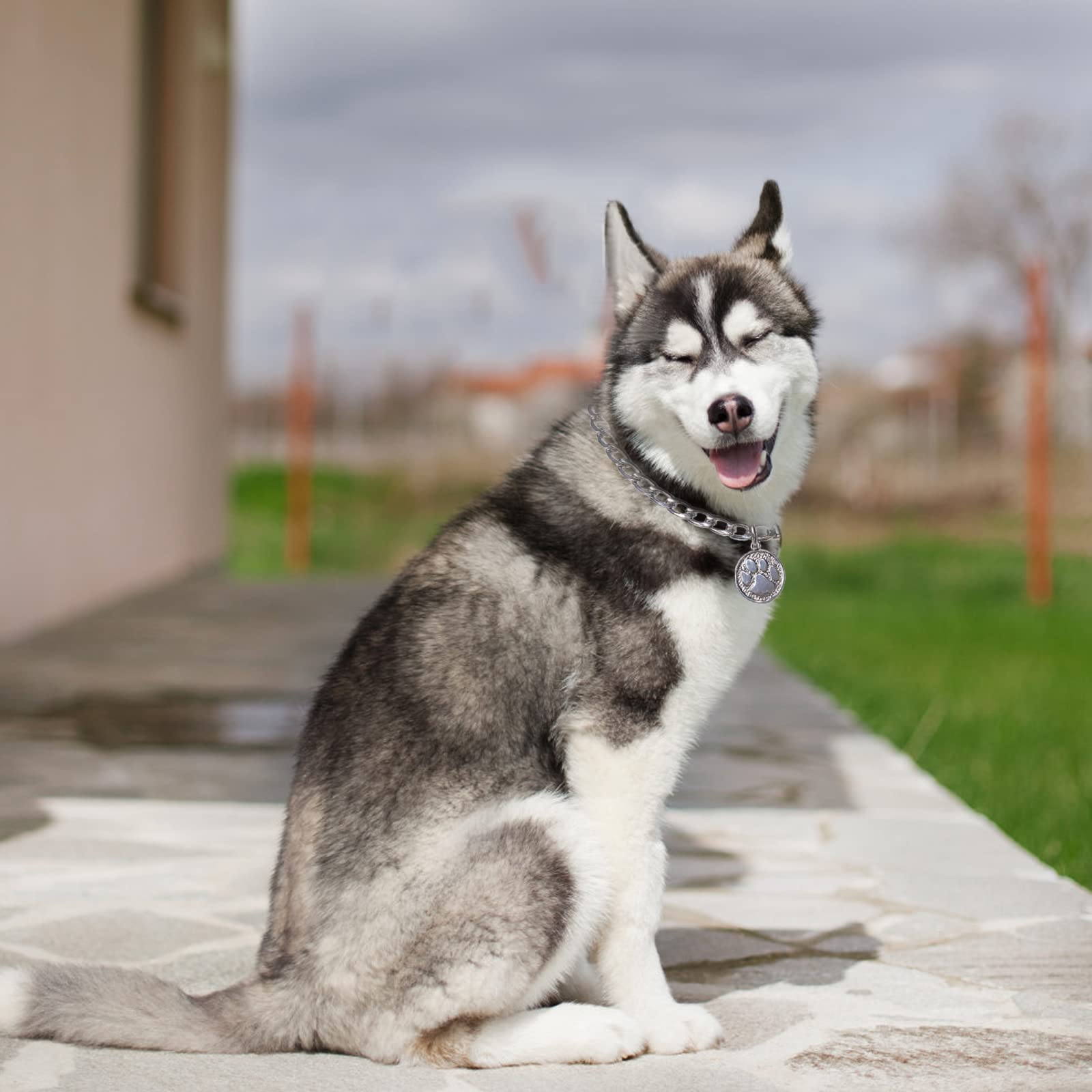 Lot De 20 Clochettes En Métal Pour Collier De Chien – Colorées, Avec Mousquetons – Dressage, Décoration Noël