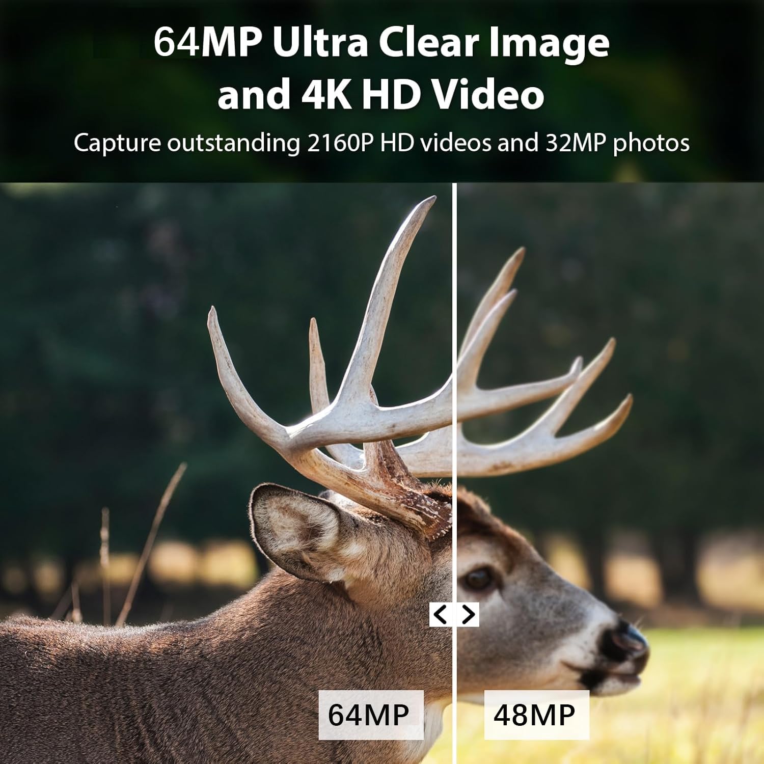 BlazeVideo 4K 64MP Wildkamera mit Bewegungsmelder Nachtsicht, 120° Weitwinkel Nachsichtkamera, 0,1s Schnelle Trigger Geschwindigkeit Wildkamera,IP66 wasserdicht