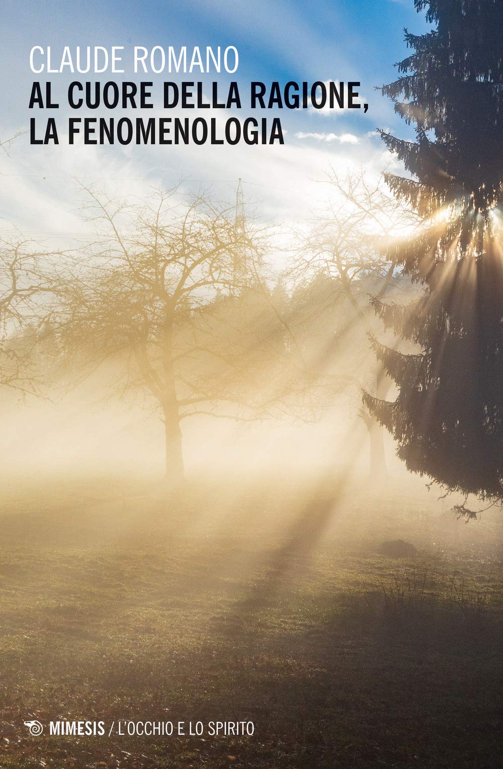 Al Cuore Della Ragione, La Fenomenologia - 4