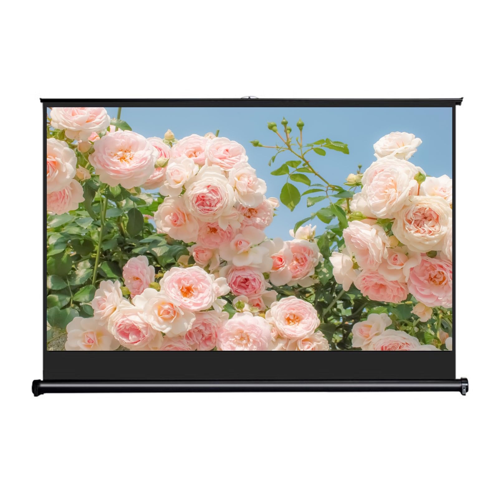 Generico Schermo per Proiettore Piccolo, Schermo per Proiettore da Pavimento Estraibile Manualmente Retrattile 16:9 4K HD per Scuole, Interni ed Esterni(36inch)