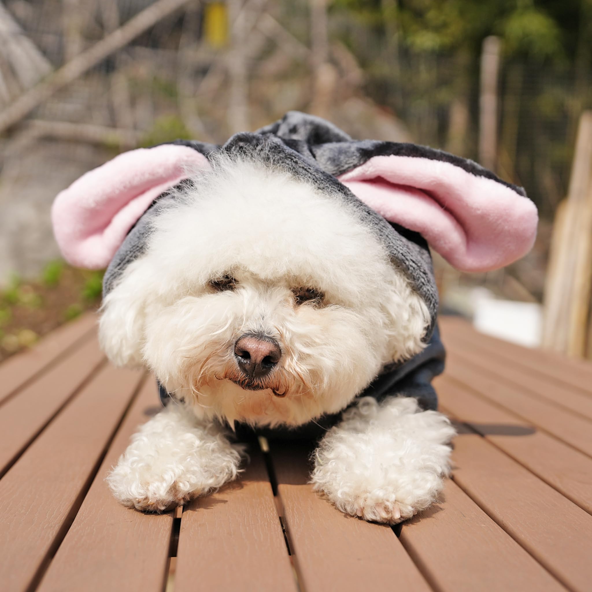 CHEERTAILS Dog Sweaters for Small Dogs Girl Boy, Small Dog Sweaters for Small Dogs, Cute Bunny Dog Costumes for Small Dogs, Fleece Puppy Sweaters Warm French Bulldog Dog Coats for Small Dogs