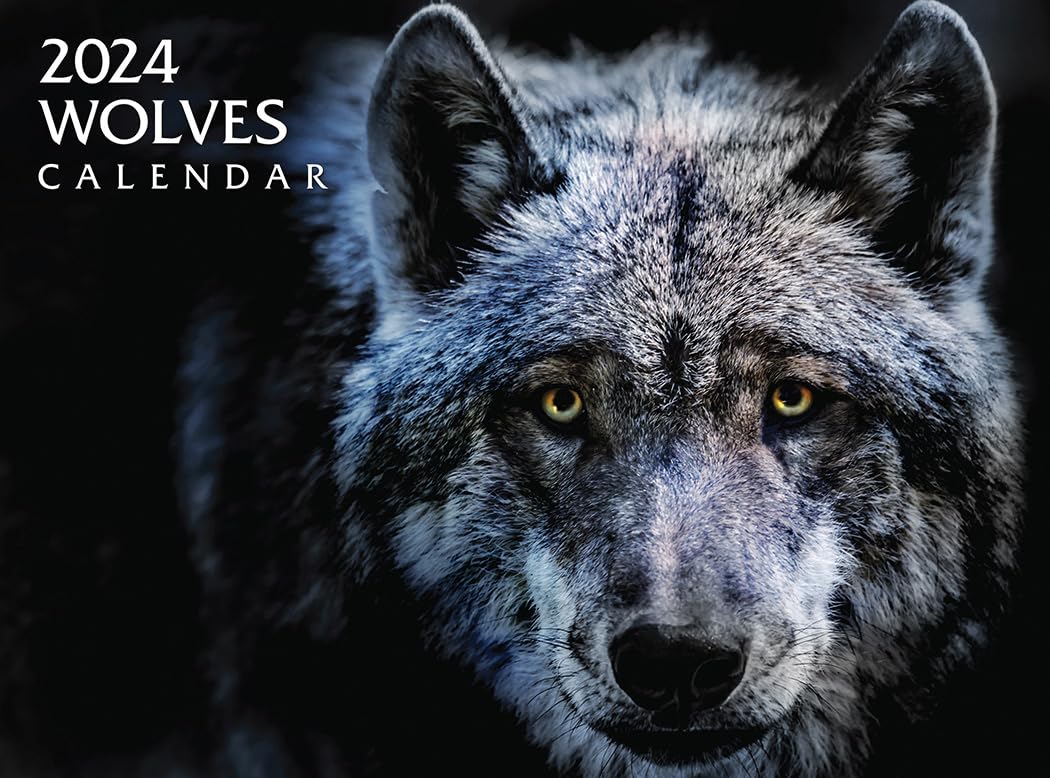 2024 Wolves Wall Calendar