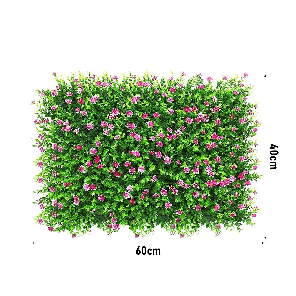 View 4
