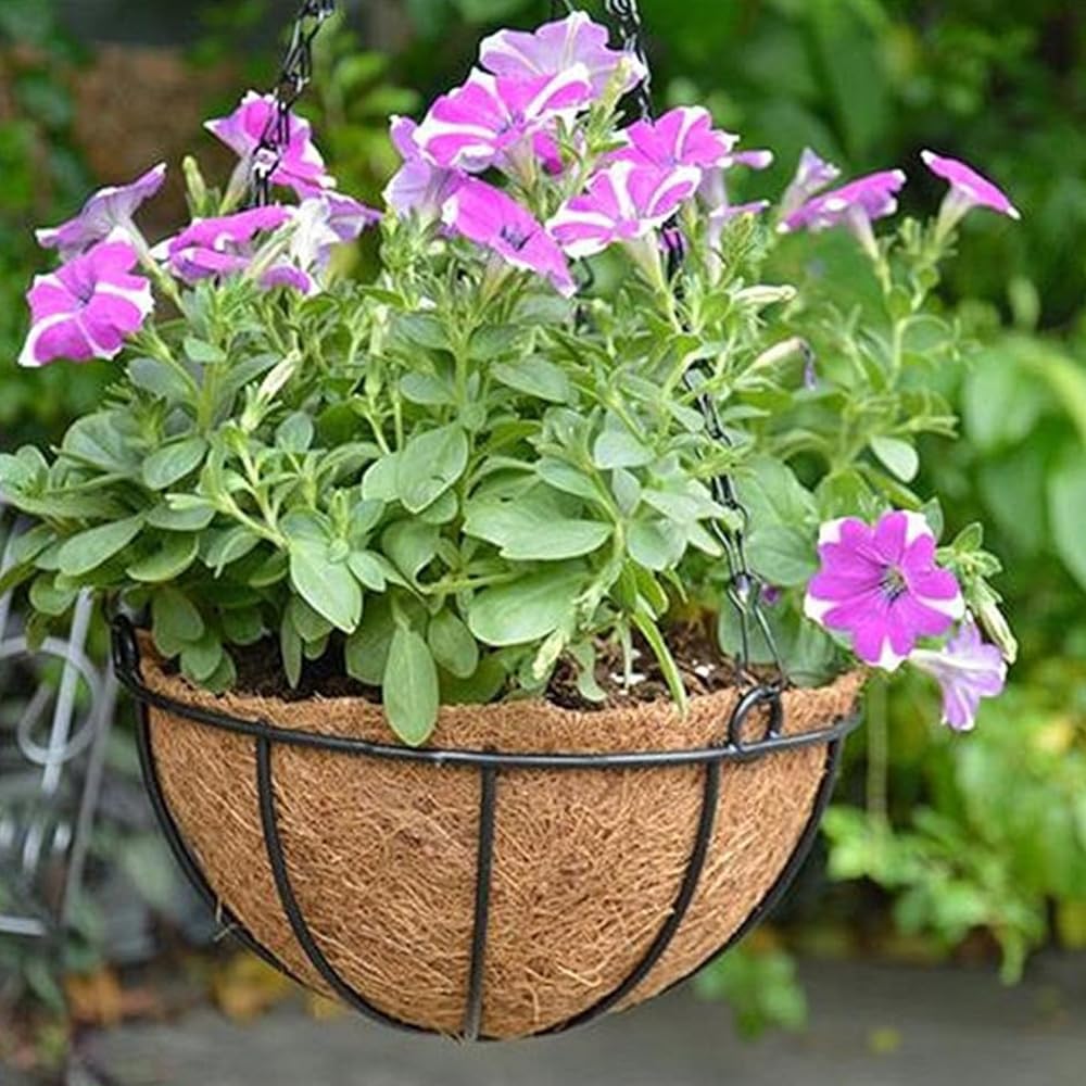 VIRSUS Cesti Portavasi Sospesi in Fibra di Cocco 7486, Diametro 30 cm, Struttura e Gancio in Metallo Verniciato Nero, Fioriera vaso da Appendere, Decorazioni per Piante e Fiori (6)
