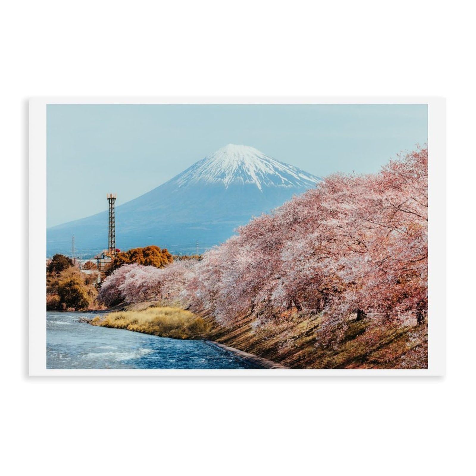 HEYANM Mt Fuji Sakura Art Print Japan Cherry Blossom Landscape Canvas Poster Bedroom Office Room Decor Gift Unframe 16x24inch