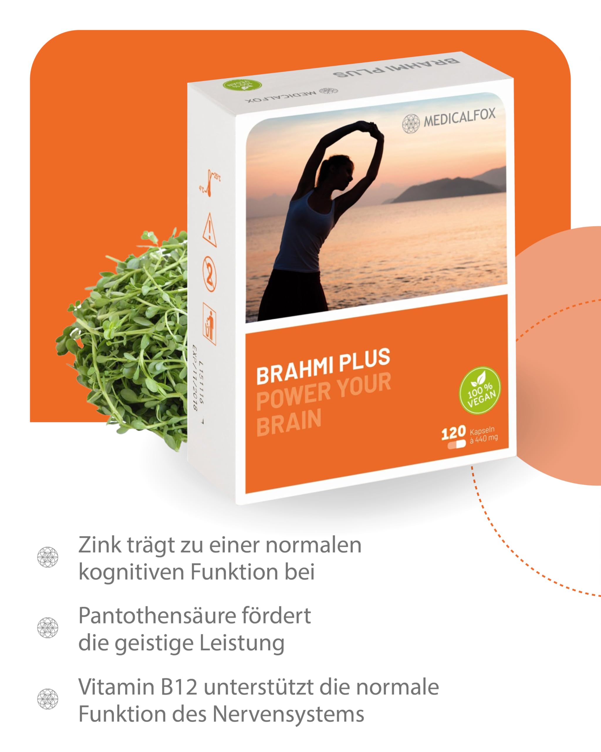 BRAHMI Plus Konzentrations- & Gehirn Kapseln für Frauen 120 Stk. vegan - Mit Vitamin B5 Pantothensäure für normale geistige Leistung, Mit Brahmi, Ginkgo, Gojibeere & Zink