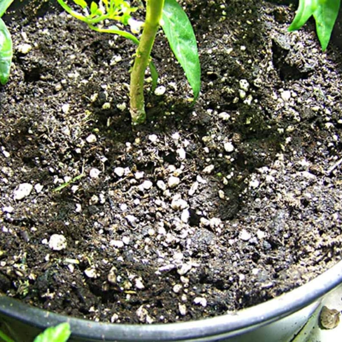 hubey Perlite pour Plantes - Système de Drainage - Stockage d'oxygène, Stockage d'humidité - Améliorateur de Sol … (12 Liter)