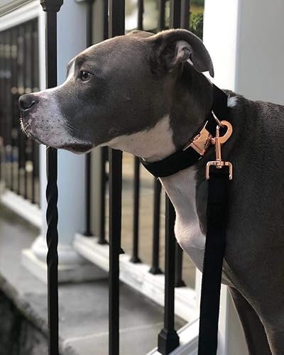 Miniatura 3 de ARING PET - collar y correa para perro, kit de collar de terciopelo y correa, suave y cómodo, collares ajustables para perros