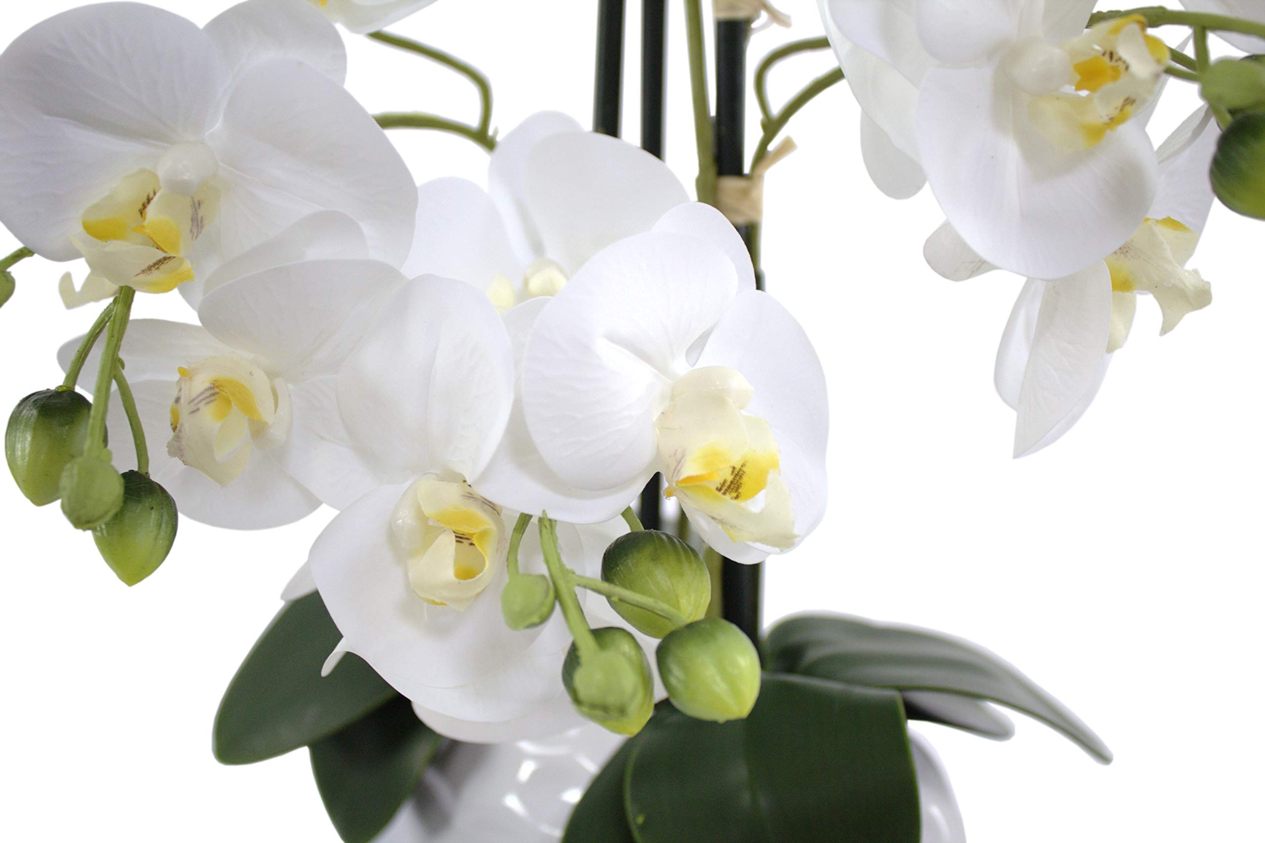 Kunstpflanze Orchidee XL mit Keramiktopf - ca. 53cm hoch (Blüten weiß - Topf weiß)