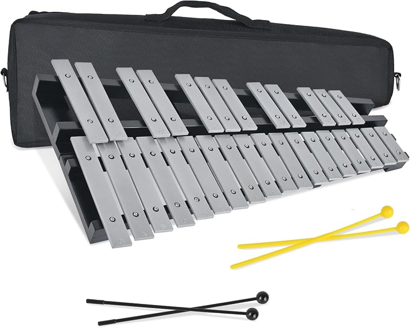 30 Notes Collapsible Glockenspiel Xylophone, Percussion Instrument Kit for Birthdays, Christmas Gift, Professional Bell Kit for Beginner, Includes 2 Mallets and Carrying Bag