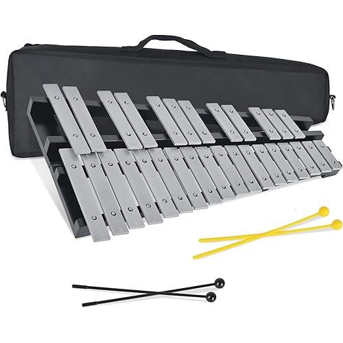 30 Notes Collapsible Glockenspiel Xylophone, Percussion Instrument Kit for Adult and Kid, Professional Bell Kit for Beginner, Includes 2 Mallets and Carrying Bag