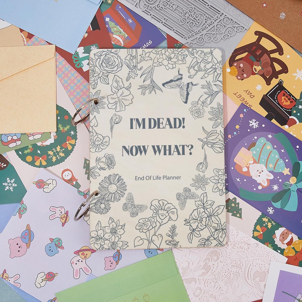 View 5