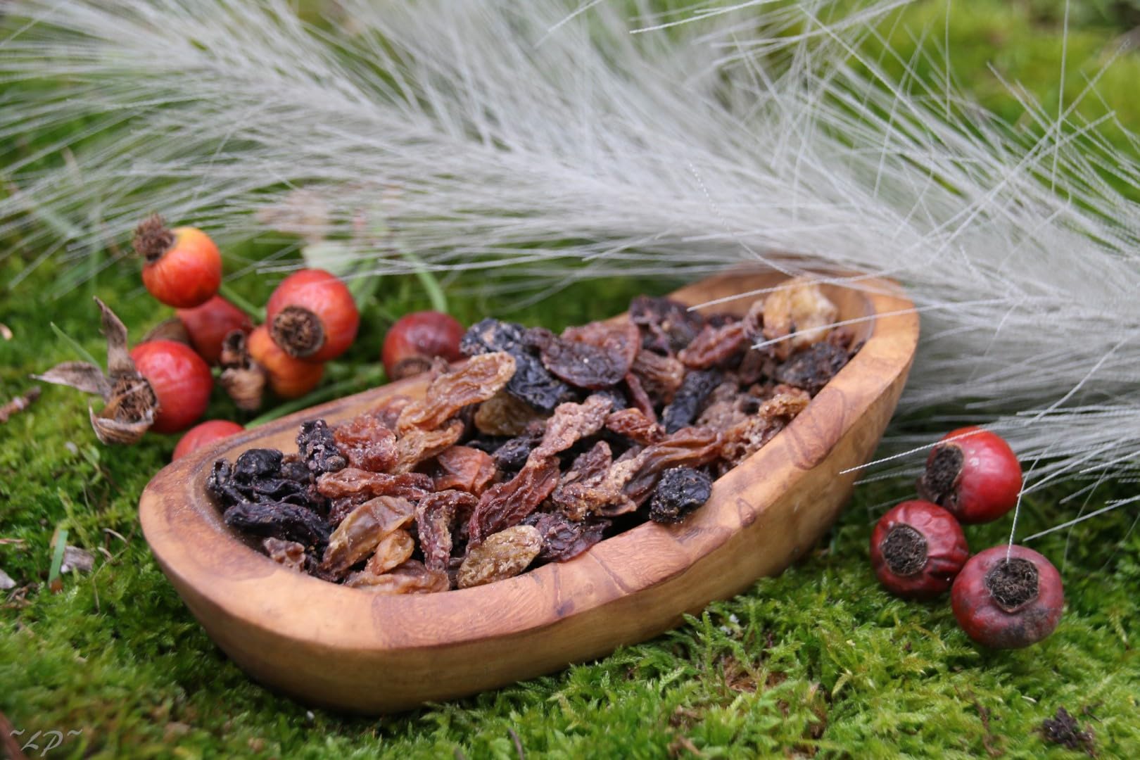 Anhaltiner Futterrosinen 10 kg Premiumfutter Rosinen für Futterzwecke Vogelfutter Wildvogelfutter Ganzjahresfutter