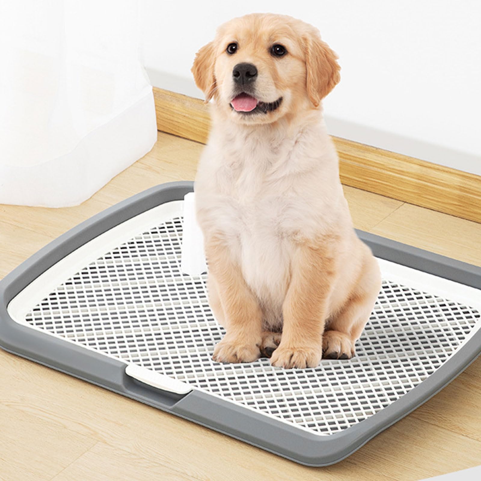 Große Urinierschale für Hunde und Haustiere mit vertikaler Unterstützung für männliche Hunde Heimfreundliches Design, Trainingstoilette für männliche