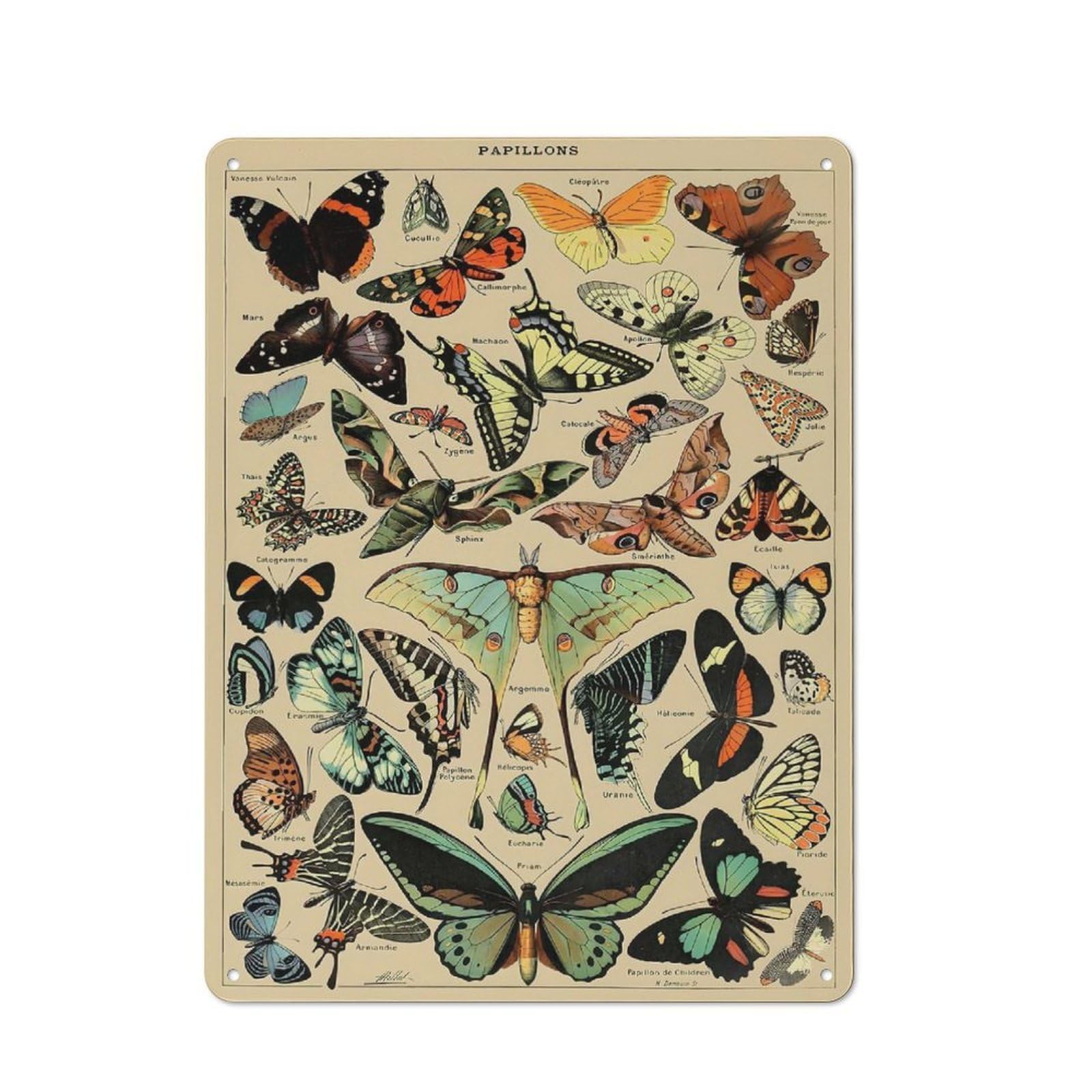 Junmoney Style-6 Adolphe Millot Butterfly Retro Metal Wall Decor 40X30cm, Retro Metal Sign For Garage, Hobby Room, Office Or Man Cave