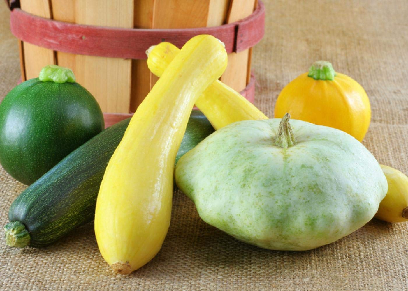 Creative Farmer Vegetable Seeds Summer Squash (Mixed In One Pack Not
