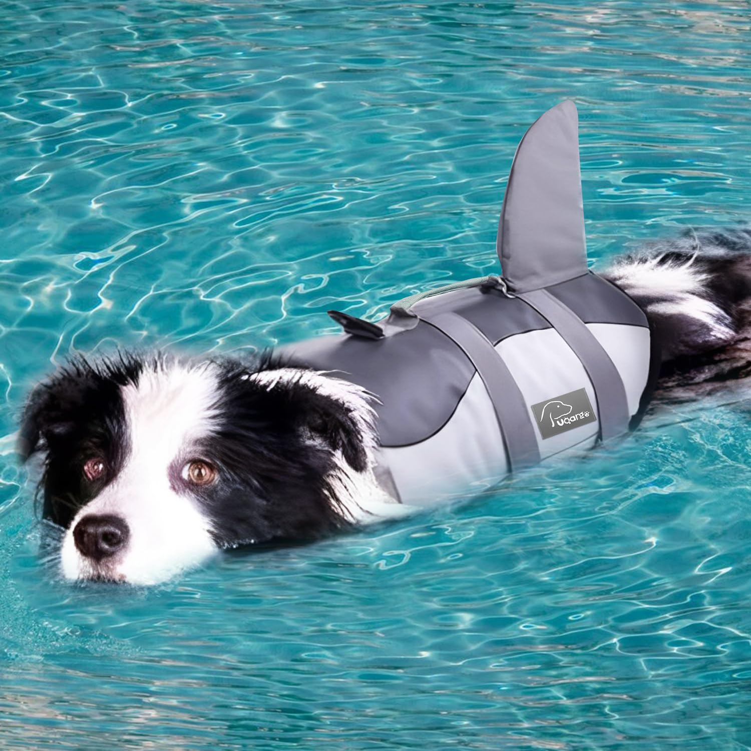 Voarge Giubbotti di salvataggio per cani squalo, Salvagente Cane Squalo con Manico e Catarifrangente, Pet Gilet di sicurezza Costumi da bagno Dog Life VestGrigio, S M (Grau, XS)