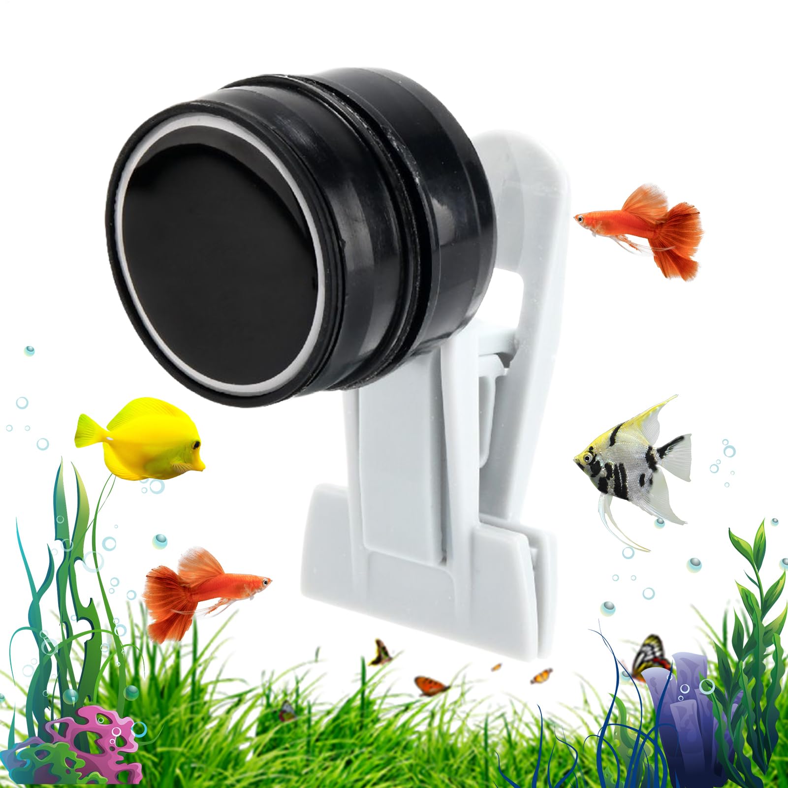 Distributeur automatique compact à algues avec support magnétique anti-chute