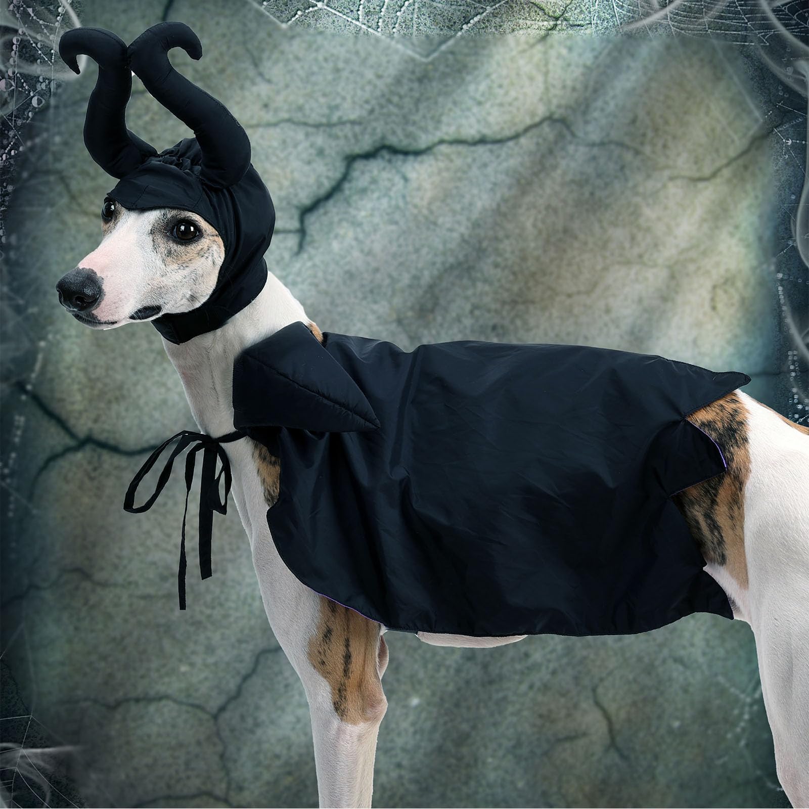 Harikaji Halloween Costume Set, Cat Devil Horns Hat Dog Vampire Cloak Set Funny Evil Pet Cosplay Cape Hat Outfits for Halloween Dress Up Party(Purle Queen)