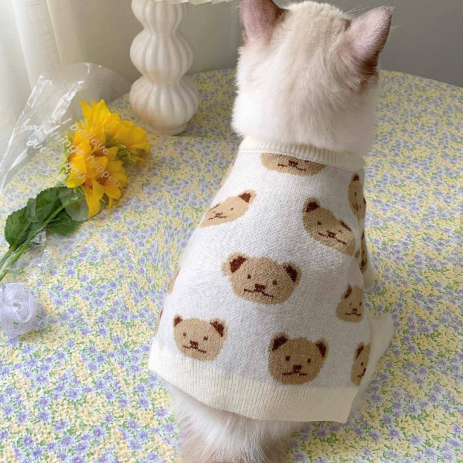 Cat Dog Sweater 4 Pet Fashion Trends For Spring And Summer | BeChewy