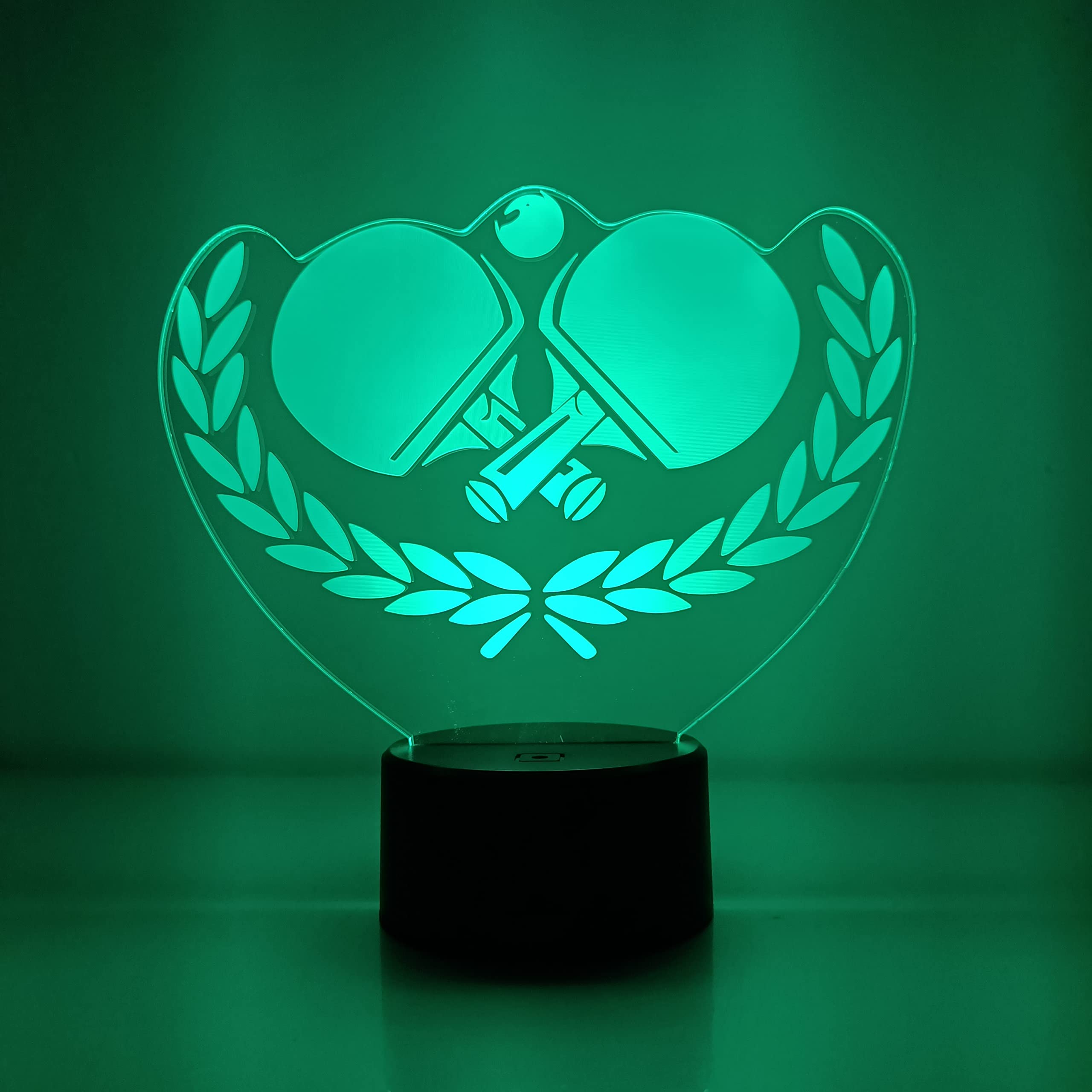 3D Ping Pong Paddle Night Light - USB Powered LED Table Lamp With Remote, 16 Color Changing, Touch Control, Acrylic Decor
