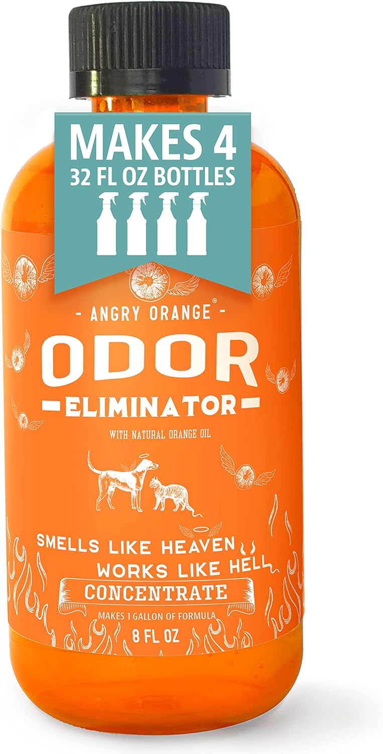 Buy Angry Orange Pet Odor Eliminator for Home 8oz Dog and Cat Pee