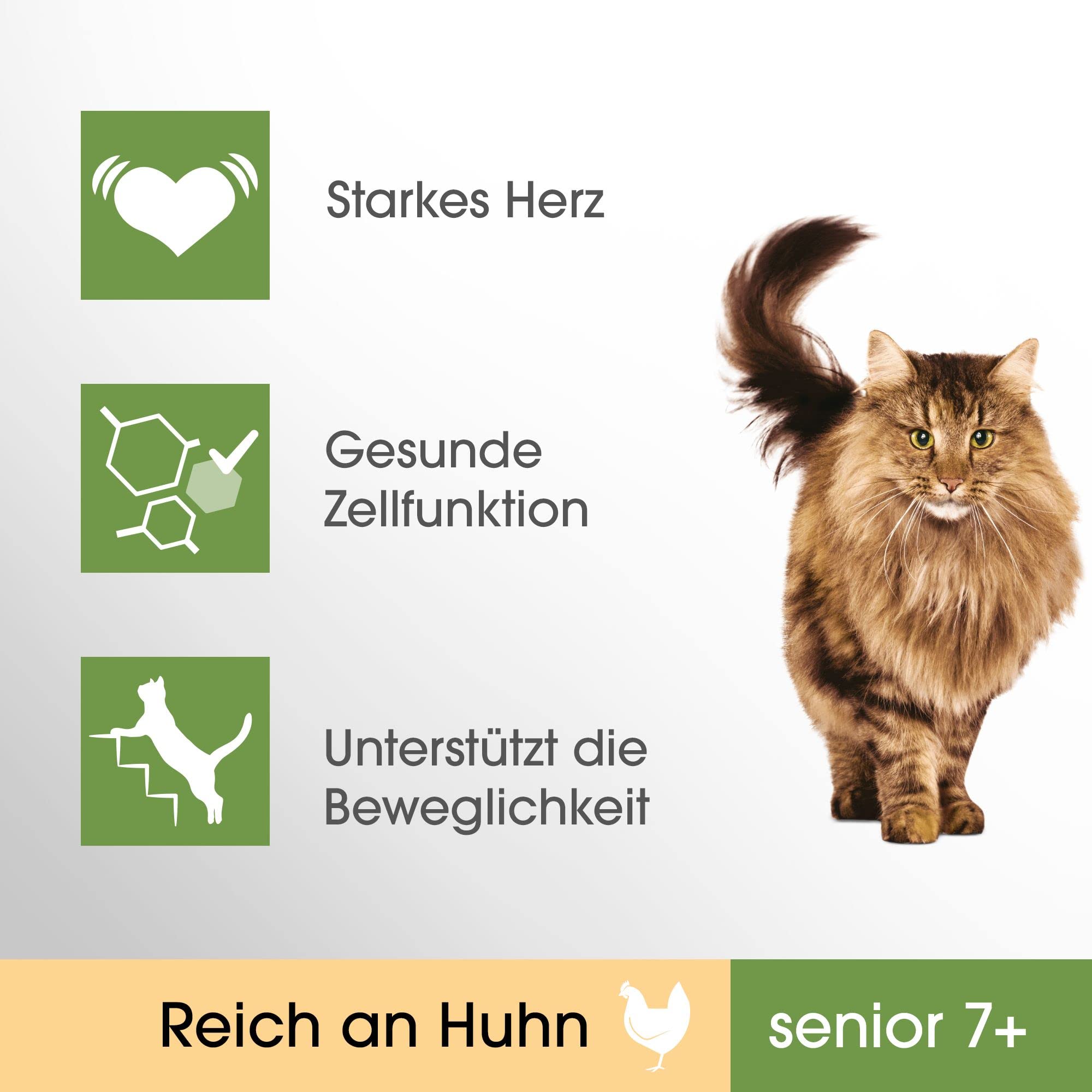 Perfect Fit Senior 7+ – Trockenfutter für ältere Katzen ab 7 Jahr – Huhn – Unterstützt die Vitalität – 7 kg