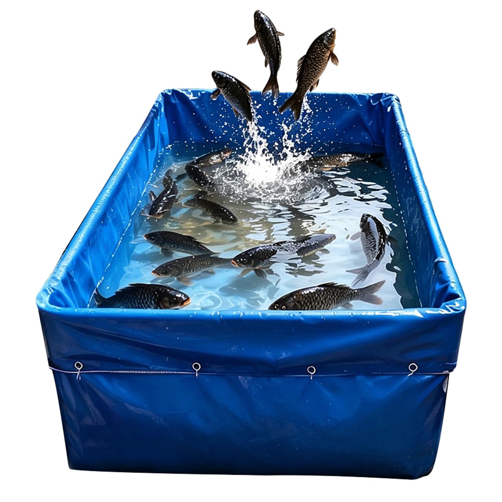 Piscine d'élevage de koi en toile pour aménagement d'étang extérieur