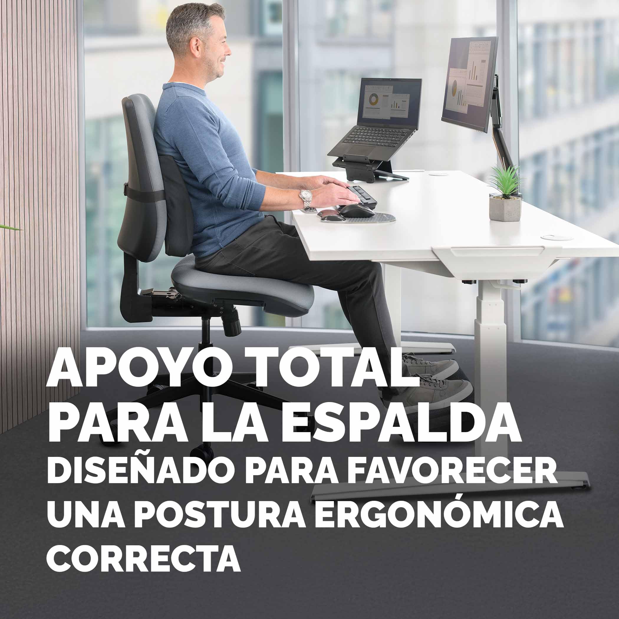 Fellowes Respaldo Comfort Breyta - Soporte ergonómico, Ajustable, portátil, ecológico, con asa y 5 años de garantía. Ideal para Oficina y hogar.