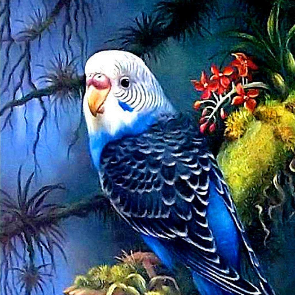 3Pcs 5D Eagle Beach Diamond Embroidery Painting Rhinestone Cross Stitch Kit