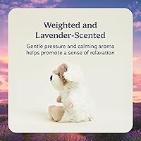 Vista 3 de Oso de peluche apto para microondas, cálido, de Intelex