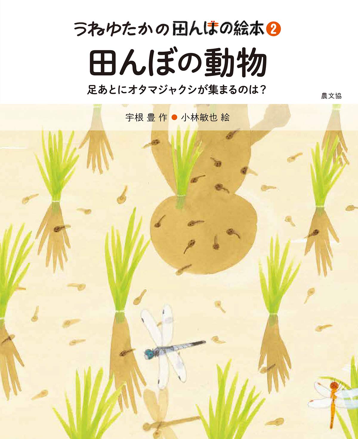 田んぼの動物 足あとにオタマジャクシが集まるのは うねゆたかの田んぼの絵本 宇根 豊 小林敏也 本 通販 Amazon