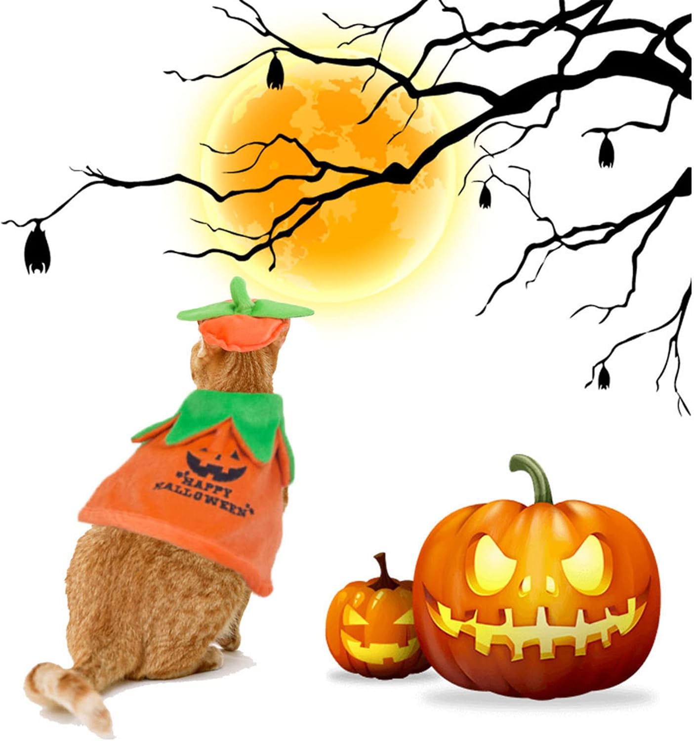 Cat Halloween Pumpkin Costume, Halloween Cat Cloak Hat Set | Easy and Comfortable to Wear, Cute Pumpkin Themed Design, Adjustable for Cat Kitten, For Halloween Party, Cosplay and Photos