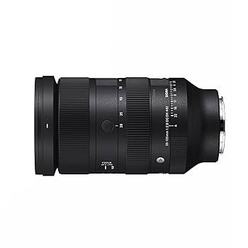 Amazon.com : 28-105mm F2.8 DG DN for L-Mount : Electronics