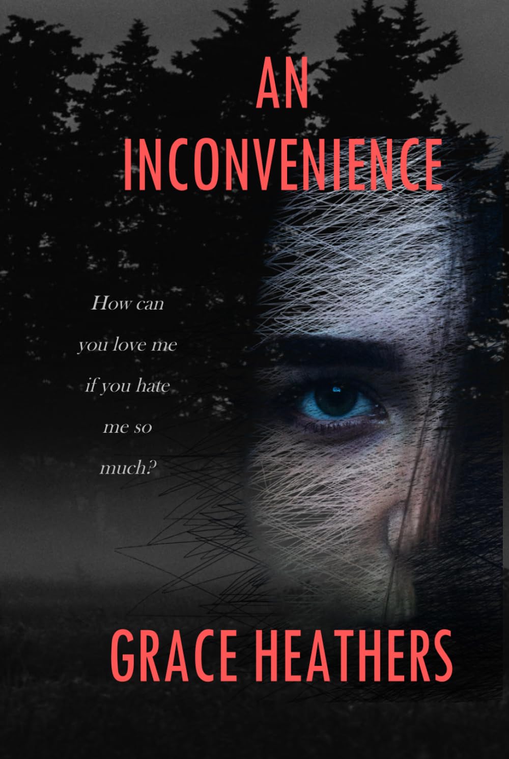 An Inconvenience: A thriller that will grip you from the very first page